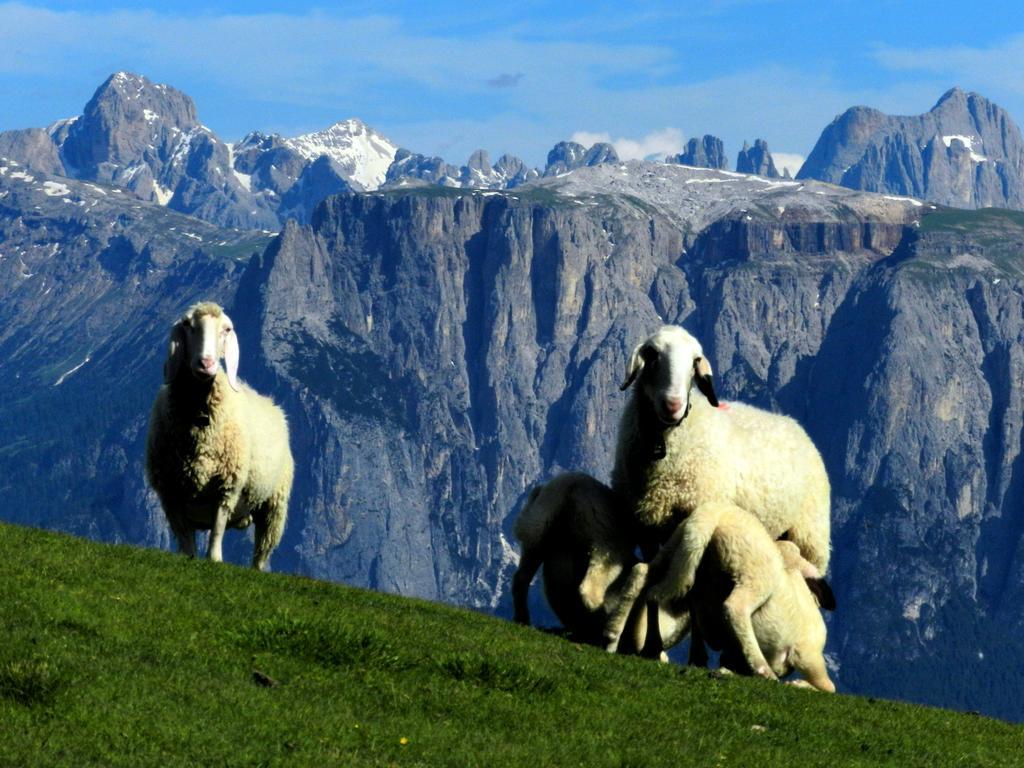 فيلا Laerchhof كولابو المظهر الخارجي الصورة